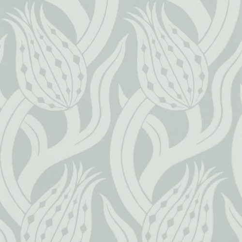 Persian Tulip 312995